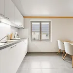 Duinhuis 20 P بيت للعطل